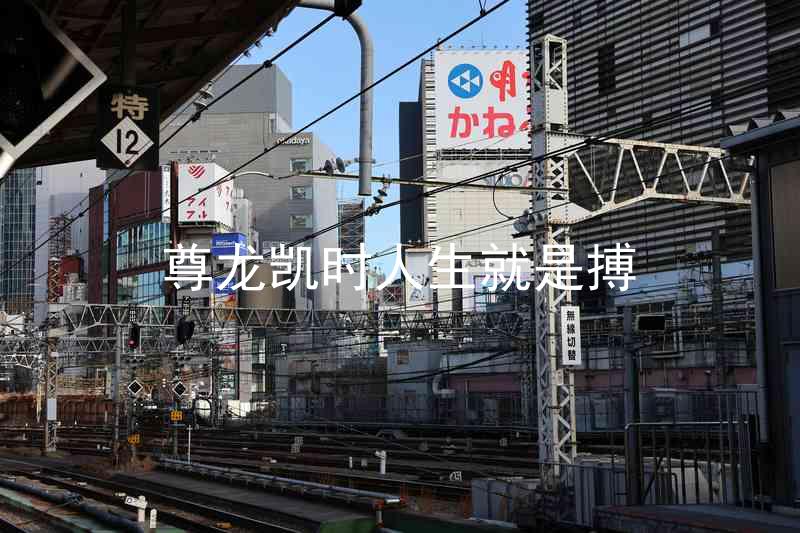 尊龙凯时人生就是搏