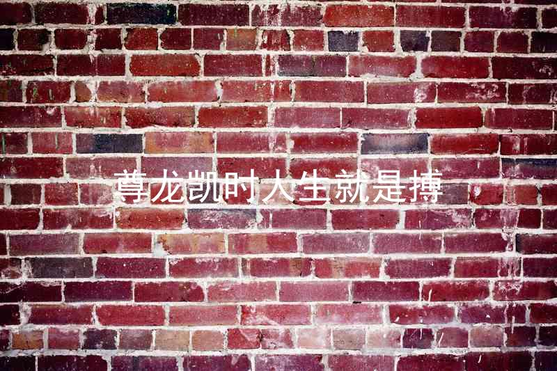 尊龙凯时人生就是搏