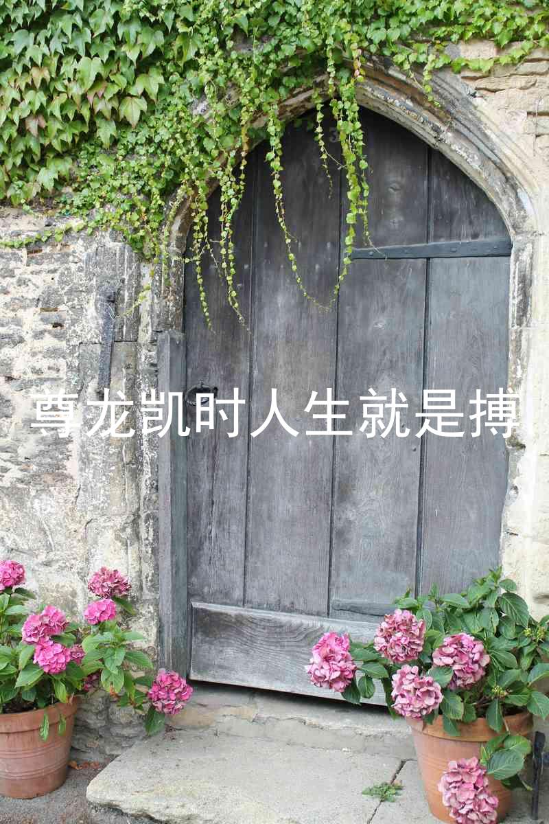 尊龙凯时人生就是搏