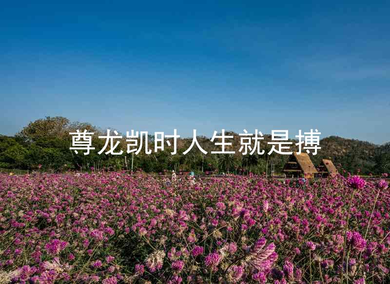 尊龙凯时人生就是搏
