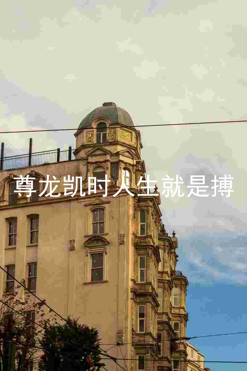 尊龙凯时人生就是搏